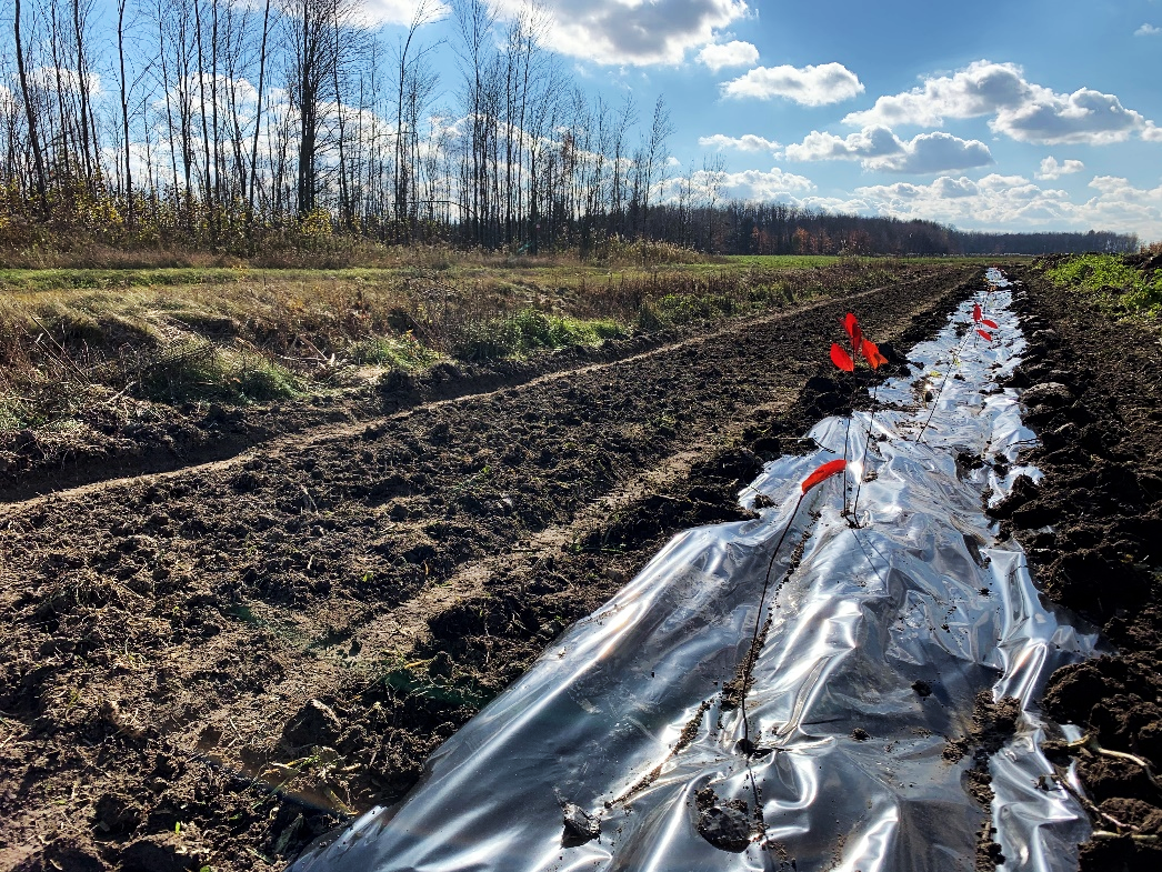 1000 fermes de plus engagées en agroenvironnement