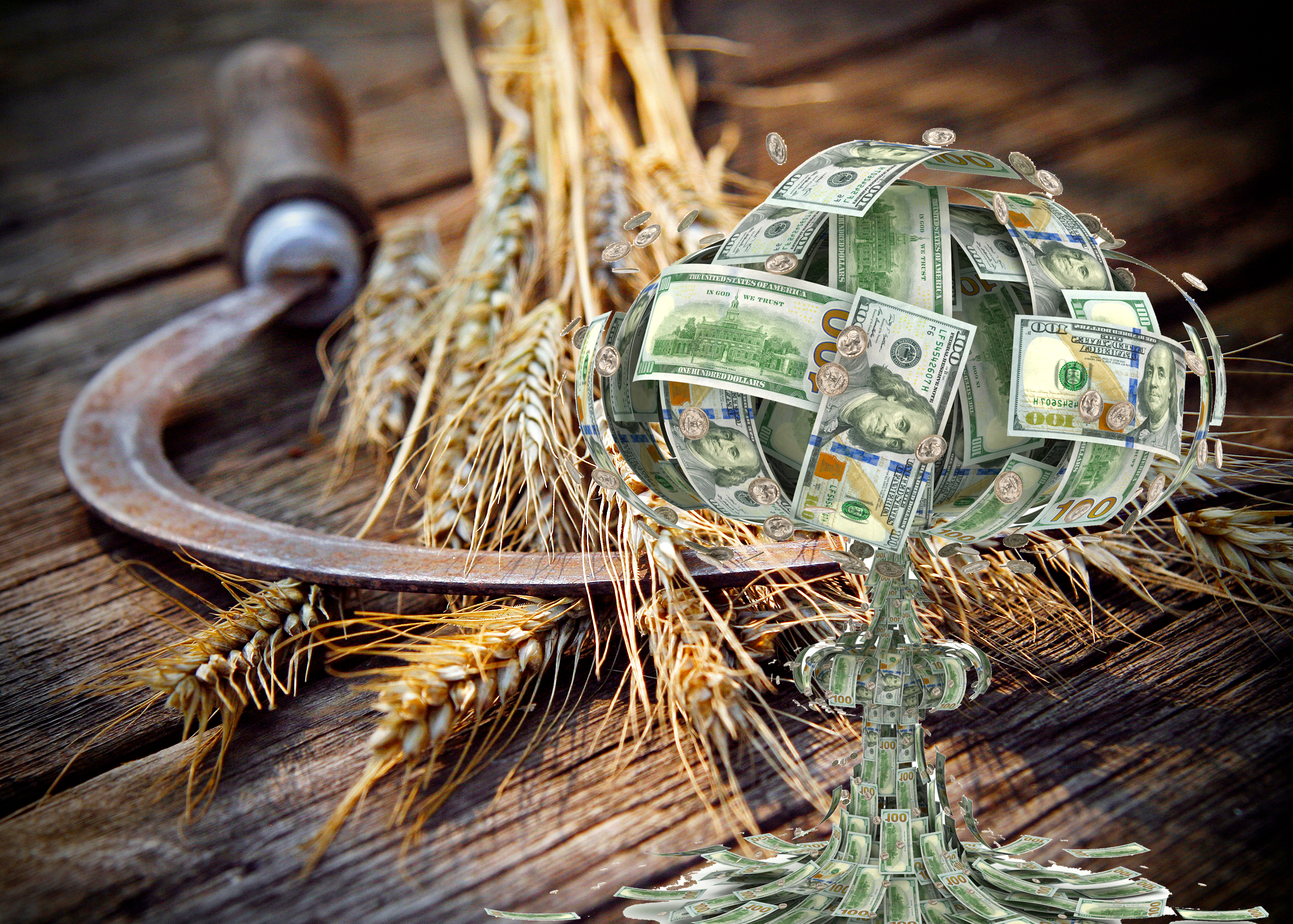 Prix des grains qui explosent, c’est quoi la suite?