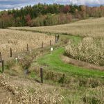 "Comme agriculteur, notre définition de l’agroenvironnement a évolué au fil du temps", Paul Caplette.