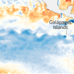 Le refroidissement des eaux du Pacifique en février dernier.