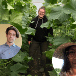 bourses releve agricole st-jean