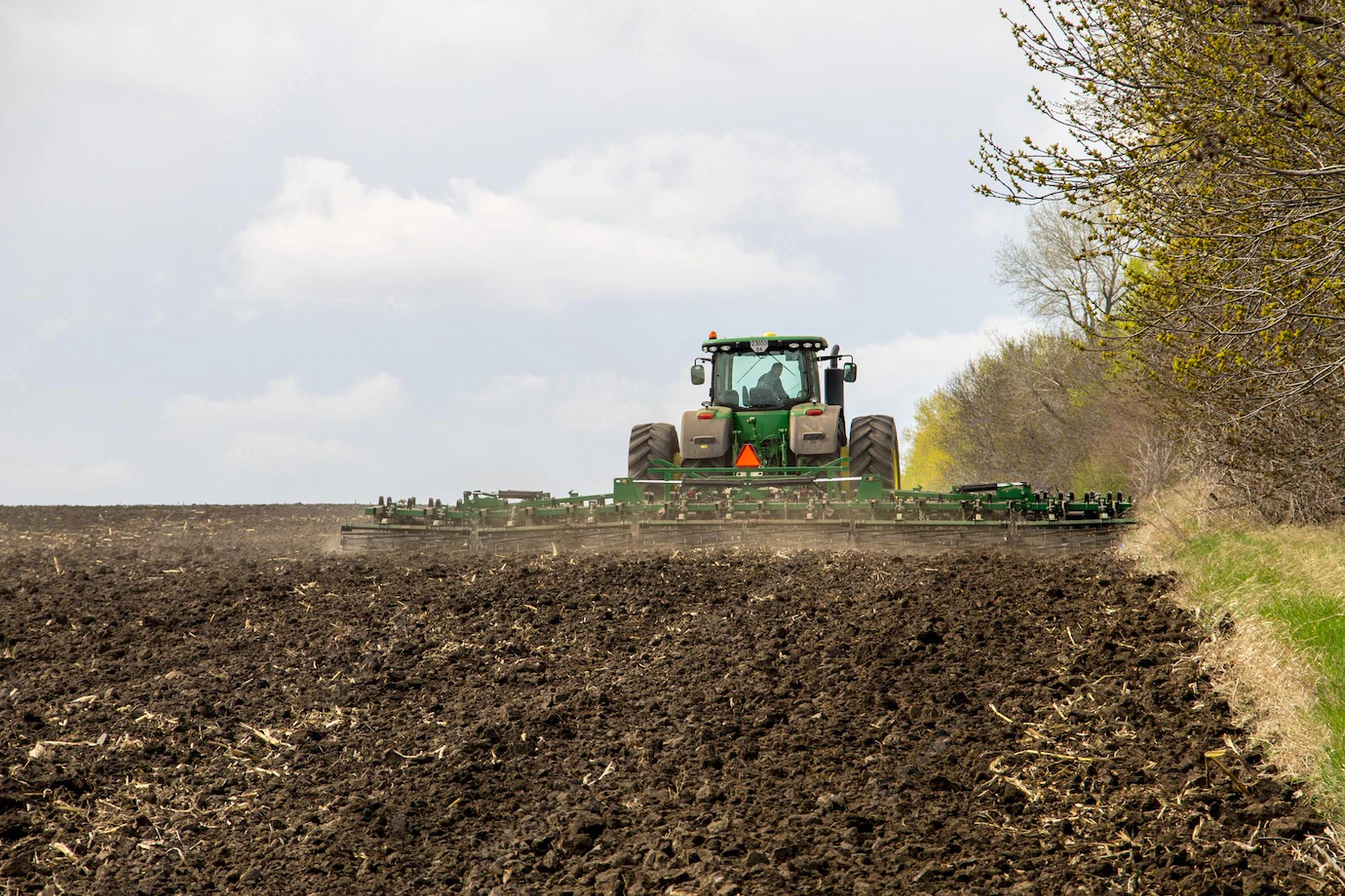 Marché des grains: Rebond tardif des grains