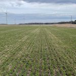 Quels gestes à faire dans les prairies