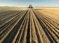 Intentions de semis 2026 : quelle est la tendance pour les prix?
