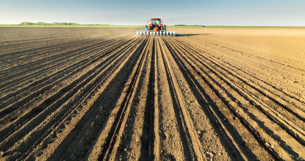Marché des grains: Une embellie des prix liée au rapport du USDA