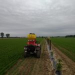 Pourquoi ne pas semer pour la pérennité, laisser une trace de notre passage d’agriculteur à nos enfants, à nos successeurs et aux citoyens autours qui pourront profiter d’une biodiversité améliorée?