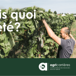 agricarrieres emploi d'ete