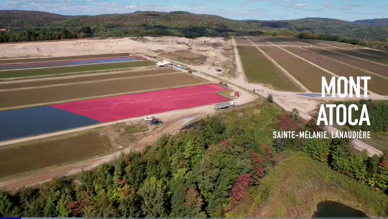 Ferme Mont Atoca Releve Bons coups au champ