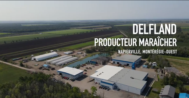 ferme delfland bons coup au champ