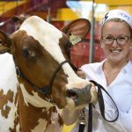 Le retour attendu des expositions agricoles