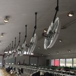Les ventilateurs de recirculation d'air sont de plus en plus présents dans les étables laitières.