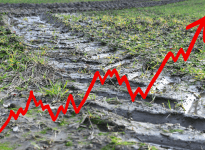 Marché du maïs : de mieux en mieux ou de pire en pire, au choix…