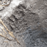 Questions et réponses sur la gestion de l’eau en agriculture