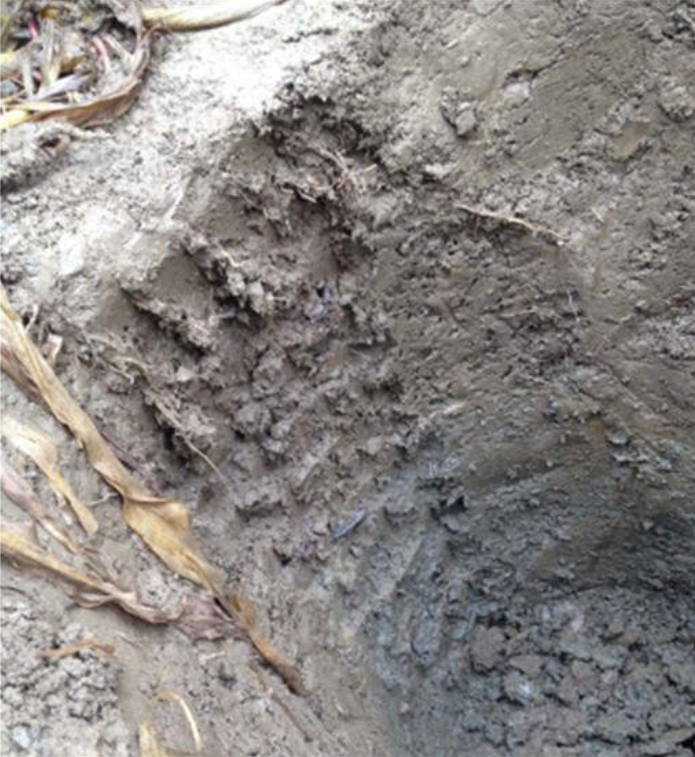 Bonne coupe, bon foin!