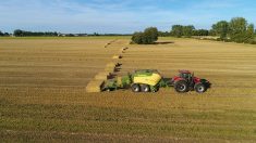 Groupeur de balles Krone