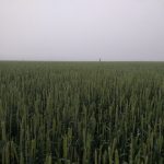 Sortir de l'ombre pour éviter de se perdre dans le brouillard.