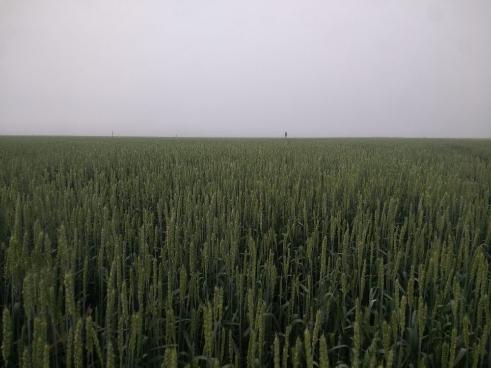 Sortir de l'ombre pour éviter de se perdre dans le brouillard.