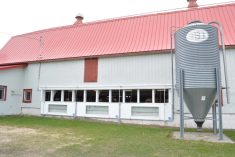 Pour apporter plus de vent aux vaches, deux ouvertures ont été percées de chaque côté de l'étable.