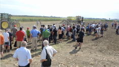 Photo Yvon Thérien, archive démonstrations Expo-Champs 2014