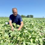 Défi soya Bayer chrysomèle du haricot