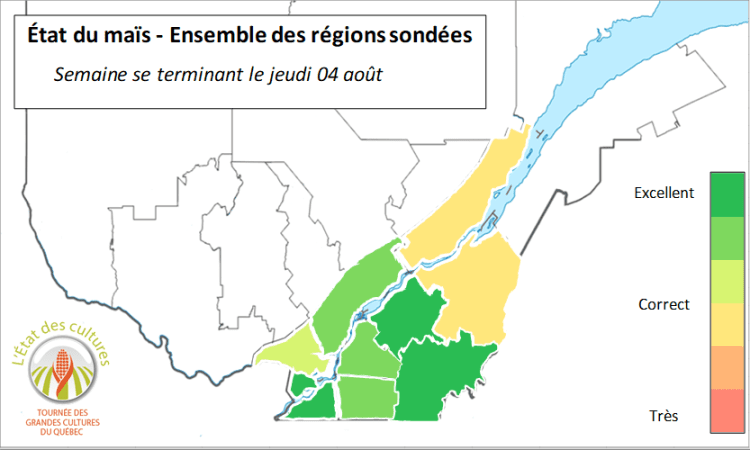 État des cultures maïs