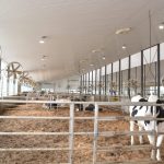 ventilation d'étable stabulation libre vaches taries