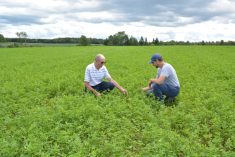 luzerne foin Ferme Pittet Alphonse et Jérémie Pittet