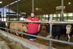 Ferme Boeufs des Patriotes Giacomo Zoia