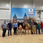 Suprême Laitier Grand Championnat Jacobs