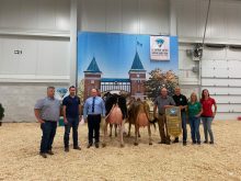 Suprême Laitier Grand Championnat Jacobs