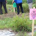 Les producteurs étaient conviés à une journée sur les bandes riveraines.