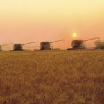 Céréales : des accords internationaux aux effets limités