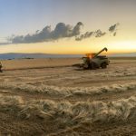 La météo favorable affecte le marché