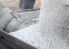 Stabilité prévue pour le prix des engrais