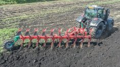 Charrue-déchaumeuse Ecomat On-Land de Kverneland