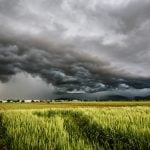 Ouranos prévoit des impacts notables sur l’agriculture en raison des changements climatiques
