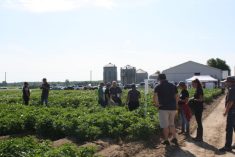 Un fonds de 1 million pour les producteurs de pommes de terre