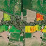 L'image NDVI sur la gauche montre où le bétail s'est rassemblé, les endroits qui devraient être réensemencés et d'autres facteurs moins apparents lors de la marche dans les pâturages. L'image des spectres de bord rouge sur la droite donne un meilleur détail de la biomasse. Le rouge est soit un sol nu, soit une matière végétale brune. C'est ce que le satellite voit à la place de la chlorophylle. Les bords ne sont pas aussi lisses que dans le NDVI. Sur cette photo, le rouge et le vert indiquent une meilleure végétation.