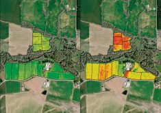 L'image NDVI sur la gauche montre où le bétail s'est rassemblé, les endroits qui devraient être réensemencés et d'autres facteurs moins apparents lors de la marche dans les pâturages. L'image des spectres de bord rouge sur la droite donne un meilleur détail de la biomasse. Le rouge est soit un sol nu, soit une matière végétale brune. C'est ce que le satellite voit à la place de la chlorophylle. Les bords ne sont pas aussi lisses que dans le NDVI. Sur cette photo, le rouge et le vert indiquent une meilleure végétation.