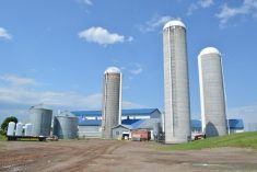 Ferme Bard silos foin