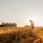 ontario grain