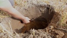 Relever le défi d&rsquo;un sol sableux