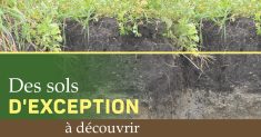 Sols d’exception – Relever le défi d’un sol sableux