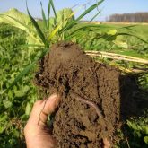 Route des sols: des producteurs prêchent par l’exemple