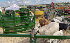 Une démonstration avec des bovins a eu lieu lors d'Expo-Champs.