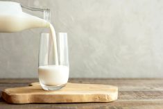Baisse du prix du lait à la ferme pour 2025