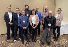 Société des parcs d'engraissement du Québec, Boeuf Québec