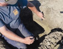 «Un sol en santé, c’est un gage de succès pour avoir de bons
rendements année après année. Dans des conditions difficiles,
un sol en santé s’en sort beaucoup mieux.» André Ricard