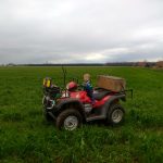 Couvert blé hiver + radis. Planification d’un roulage fin mai, suivi du semis des haricots secs.