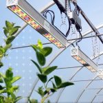 Type d'éclairage conçu par Sollum Technologies